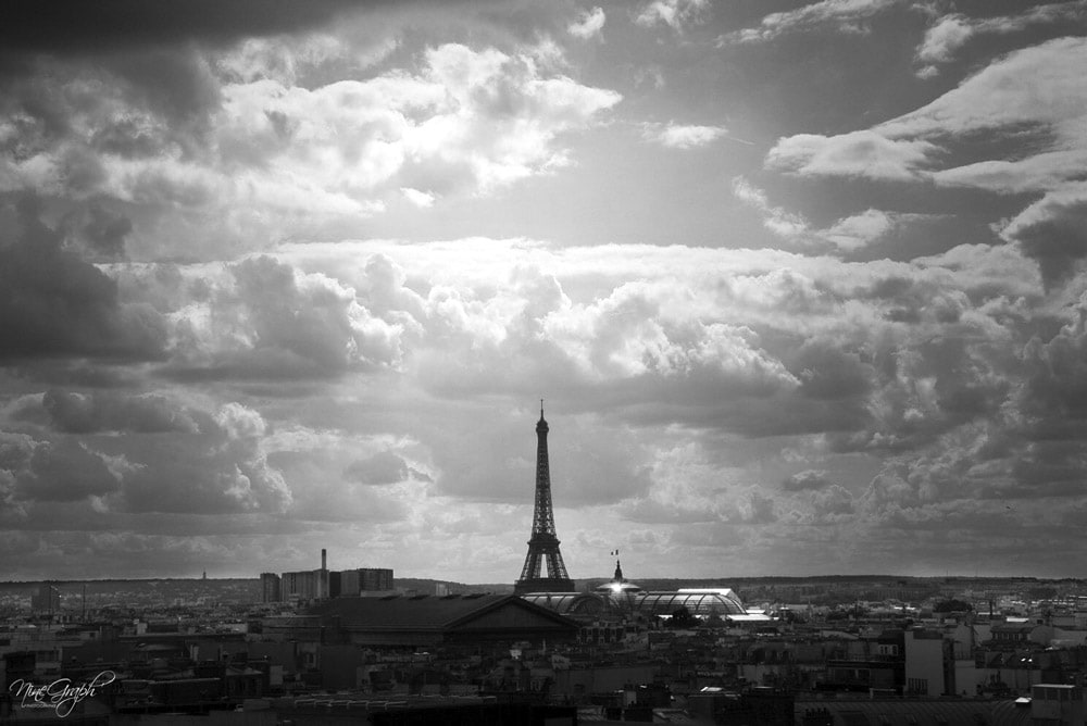 Monochrome, Tour Eiffel du toit des Galeries Lafayette à Paris - Monochrome