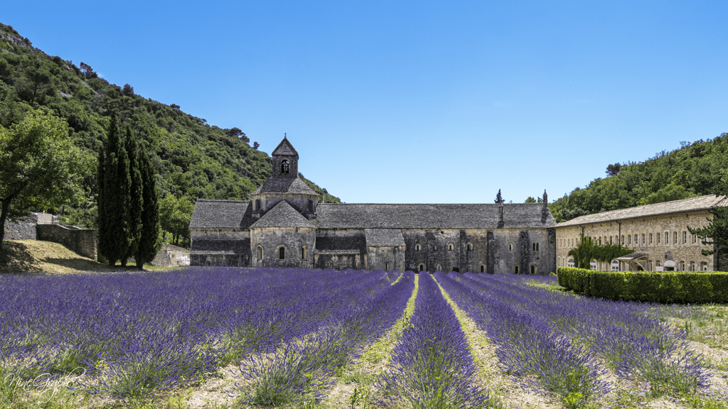 Abbaye de Senanque, Luberon