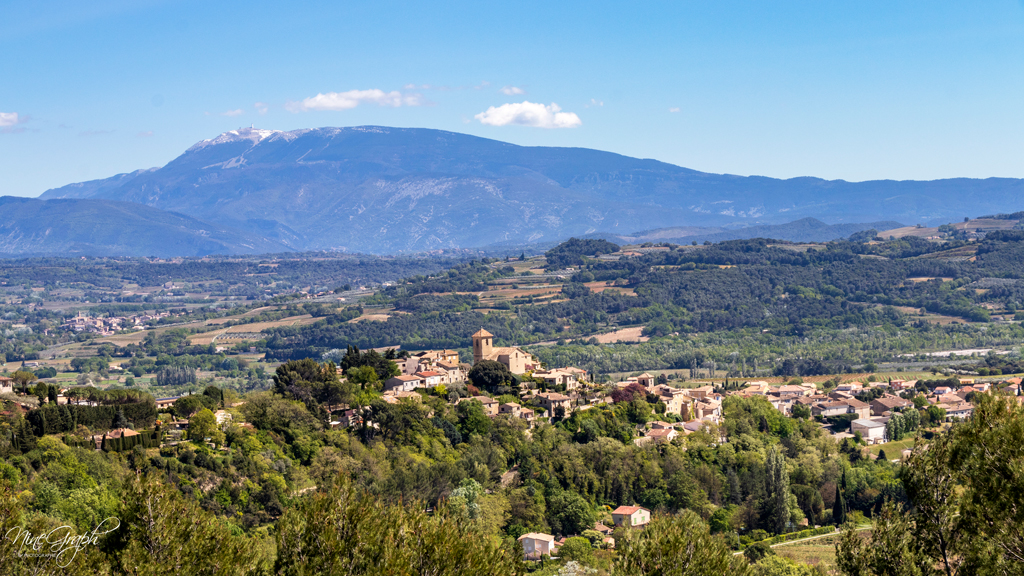 Délices de la Drôme Provençale : entre olives et crus de caractère